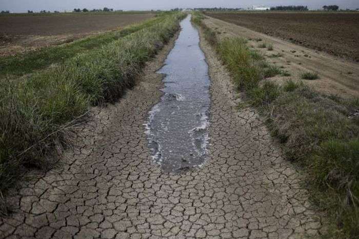 Наслідки посухи в Каліфорнії (21 фото)