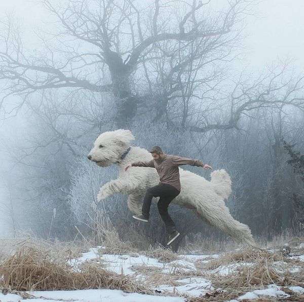 Неймовірні пригоди американського фотографа і його «собаки-велетня» (25 фото)