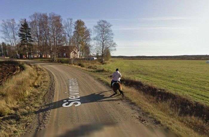 Наслідки зустрічі коні з машиною Google Street View (5 фото)