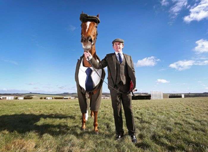У Великобританії представили перший у світі костюм-трійку для коня (5 фото)