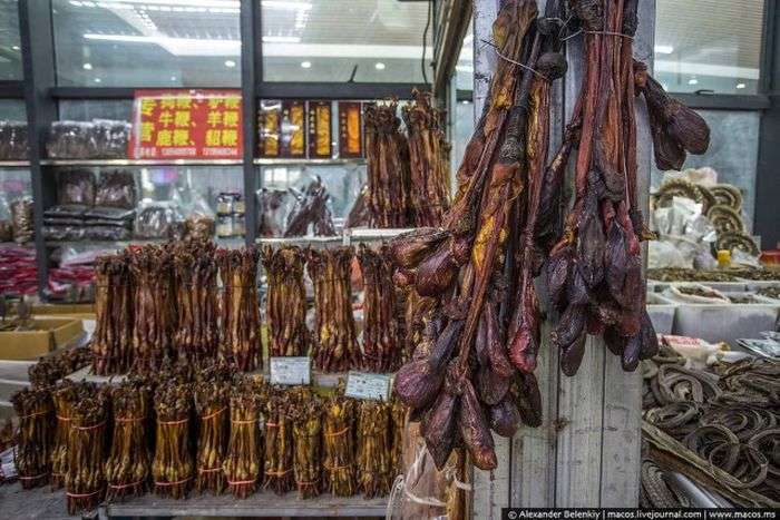 Магазин сушених пенісів в Китаї (8 фото)