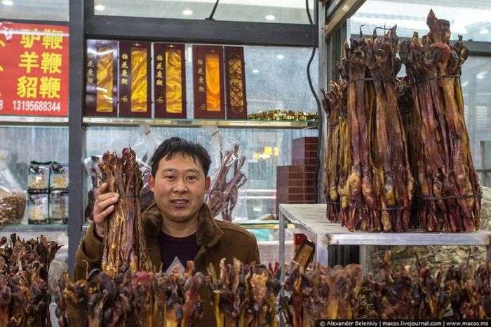 Магазин сушених пенісів в Китаї (8 фото)