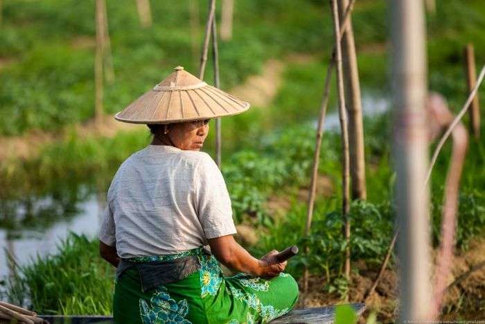 Вирощування овочів на озерах Мянми (32 фото)