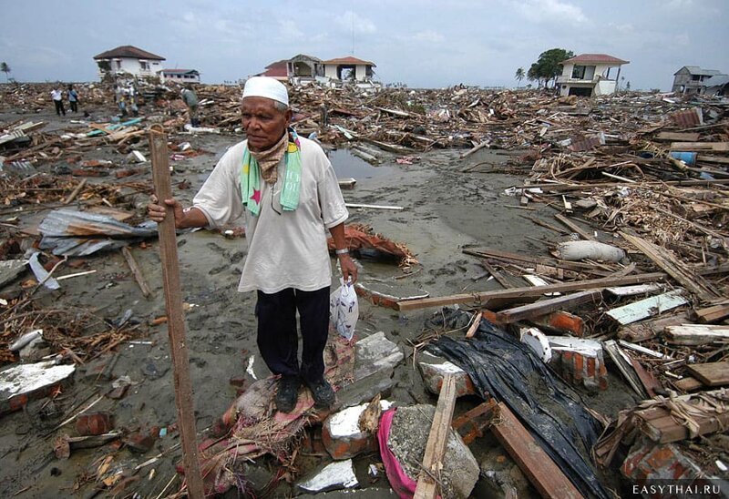 Несколько разрушительных фактов о цунами интересное