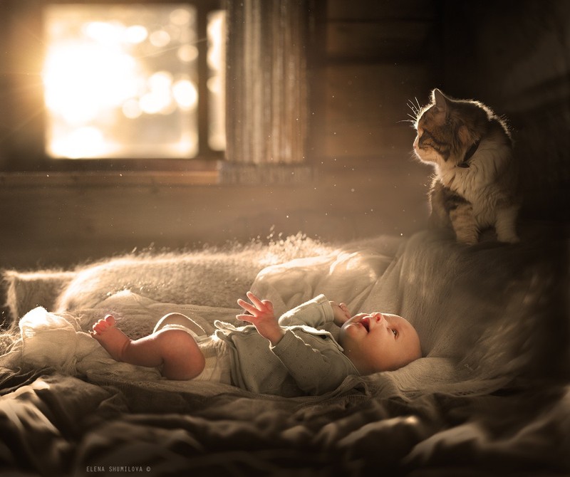 23 очаровательные фотографии, доказывающие, что вашему ребенку нужен кот Животные