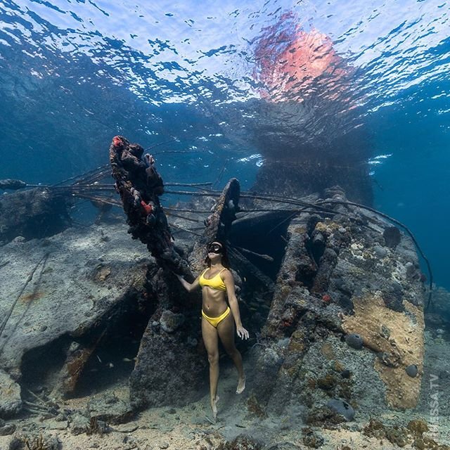 Захватывающие подводные фотографии от Андре Мусгроува 