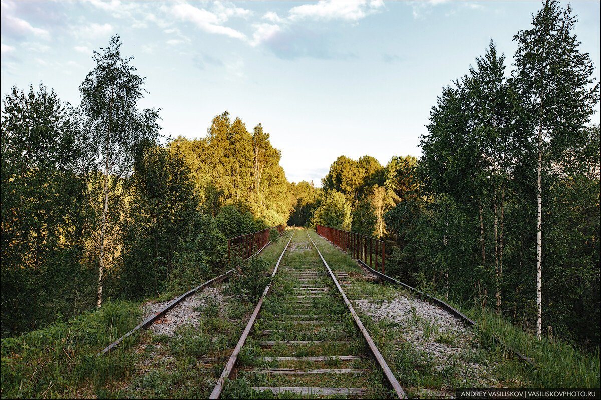 Заброшенный железнодорожный мост в Новгородской области: шедевр промышленной архитектуры автотуризм