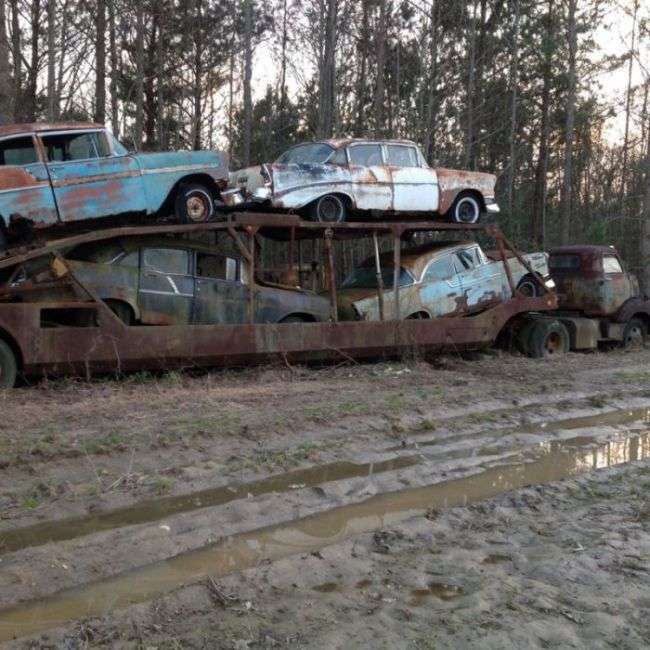 Незвичайна знахідка в глухому лісі (11 фото)