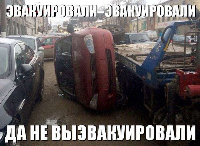 Свіжа добірка автоприколов (46 фото)
