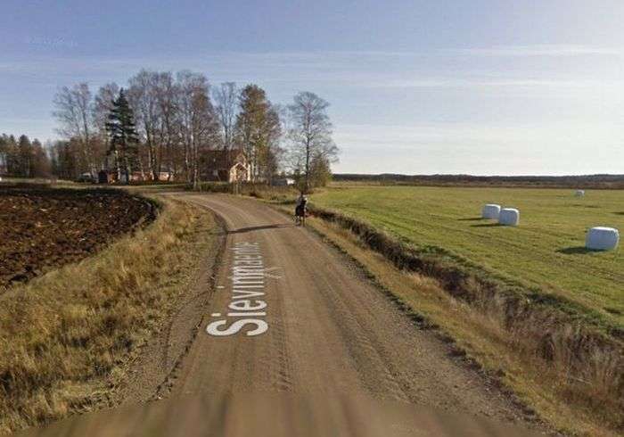 Наслідки зустрічі коні з машиною Google Street View (5 фото)