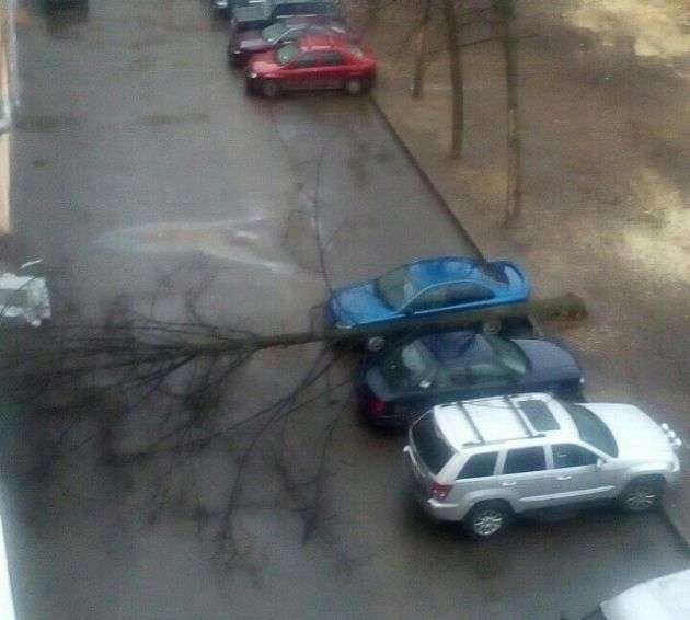 Везучі автомобілісти (2 фото)