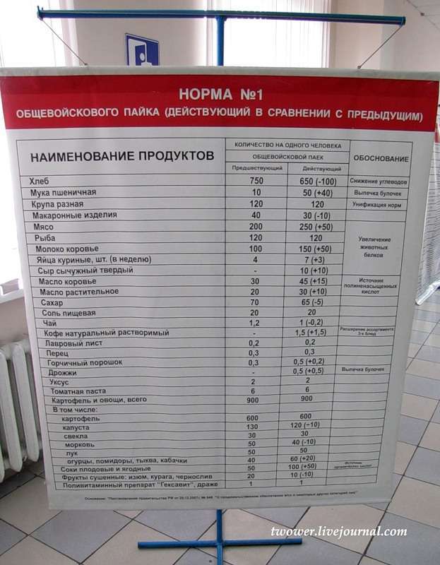 Харчування солдатів у сучасній російській армії (27 фото)