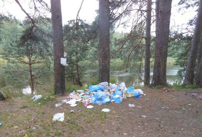 Як дачниця ліс від сміття рятувала (10 фото)