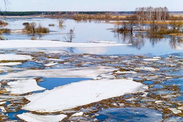 Весеннее течение Охота и рыбалка