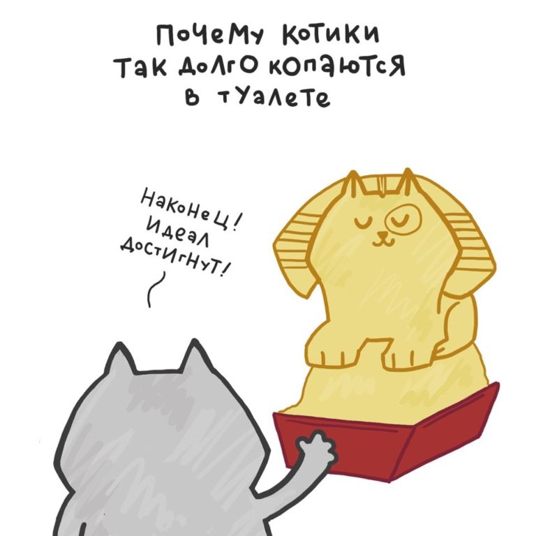 Иллюстратор рисует комиксы о жизни с 4 кошками и раскрывает все их пушистые тайны Юмор