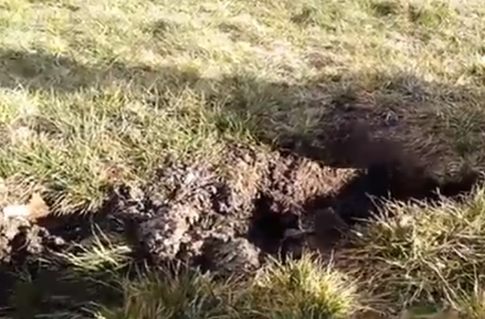 В Крымске в жилом микрорайоне образовался «Вход в Преисподнюю» Тайны и мифы