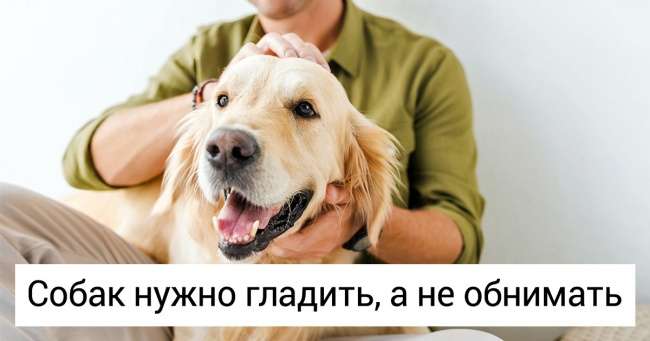 14 вещей, которые помогут понять, что собака может укусить Интересное