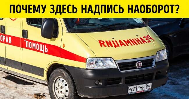 12 «почему», ответы на которые вы хотели бы знать, но забывали погуглить Интересное