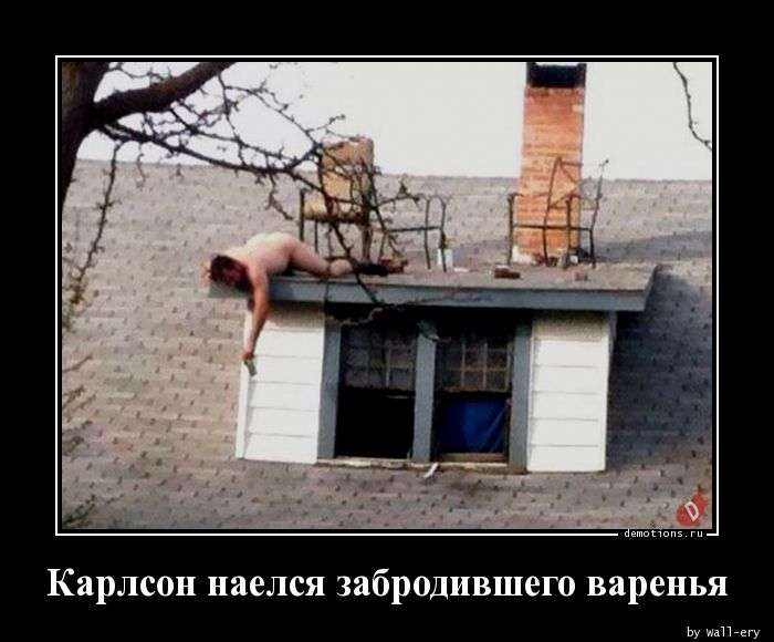 Свежая подборка демотиваторов, которые поднимут вам настроение   юмор