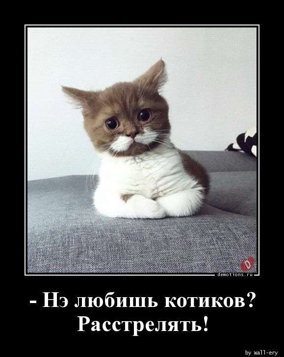 Свежая подборка демотиваторов, которые поднимут вам настроение   юмор