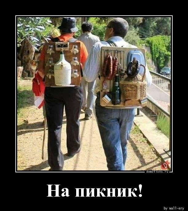Свежая подборка демотиваторов, которые поднимут вам настроение   юмор