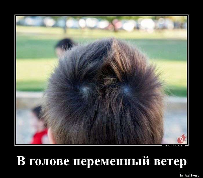 Свежая подборка демотиваторов, которые поднимут вам настроение   юмор