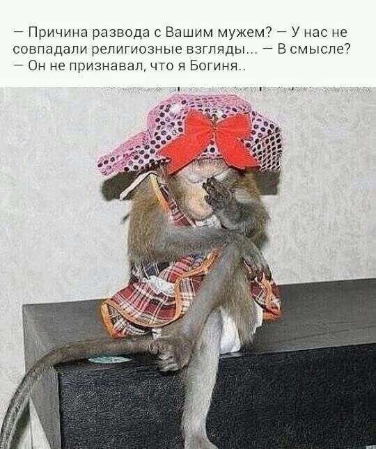 Странное чувство, когда в человек транспорте отсаживается от тебя… Юмор