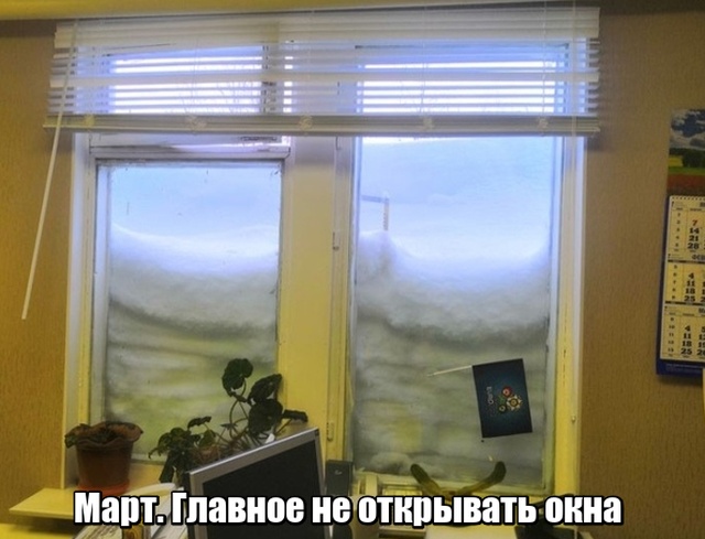 Подборка прикольных картинок смешные картинки