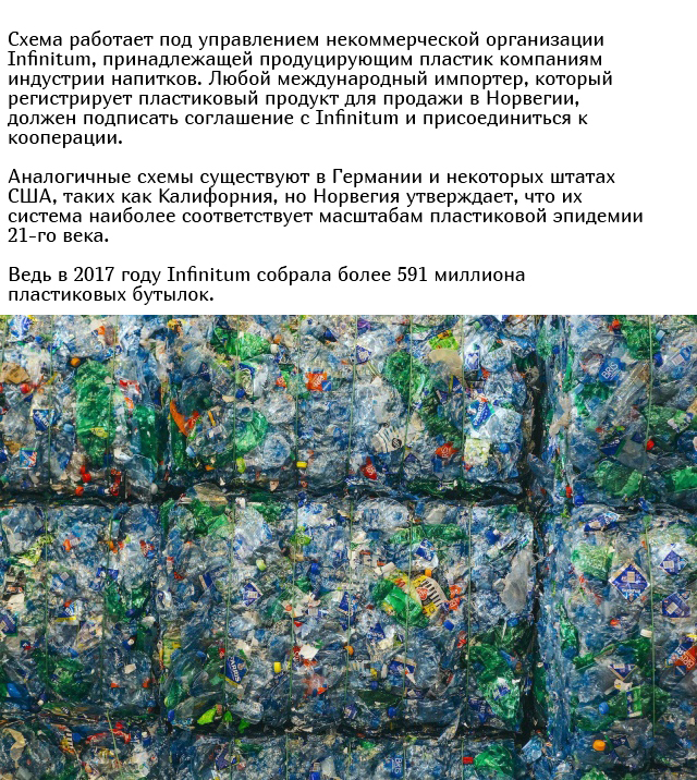 Как в Норвегии перерабатывают 97% всех пластиковых бутылок 