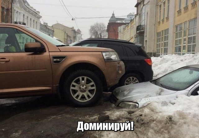 Подборка смешных картинок смешные картинки