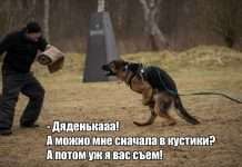 Прикольні картинки. Денний випуск (59 фото)