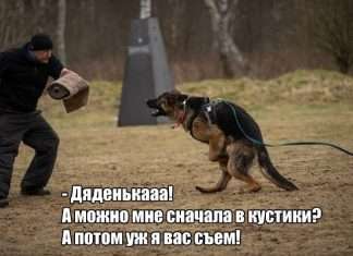 Прикольні картинки. Денний випуск (59 фото)