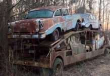 Незвичайна знахідка в глухому лісі (11 фото)