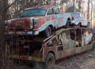 Незвичайна знахідка в глухому лісі (11 фото)