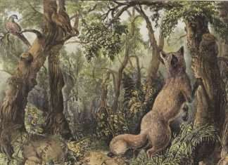 Знайдіть всіх тварин і всі особи на цій картині (2 фото)