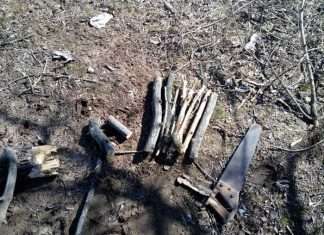 Акваскейп «Сосновий бір» своїми руками (8 фото)