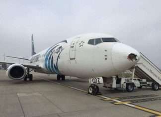 Наслідки зіткнення літака зі зграєю птахів (4 фото)