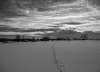 Життя за межами цивілізації (19 фото)