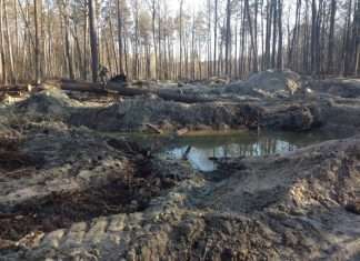 Наслідки нелегального видобутку бурштину (4 фото)