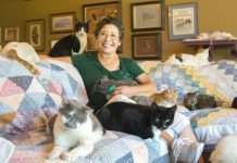 10 історій, які доводять, що світ врятує саме доброта (10 фото)