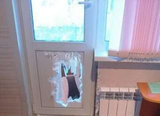 Для кохання немає перешкод (3 фото)