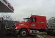 У США пес за кермом вантажівки влаштувала ДТП (3 фото)