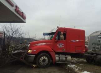 У США пес за кермом вантажівки влаштувала ДТП (3 фото)