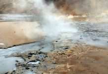 Як фарбують крашанки в Ісландії (13 фото)