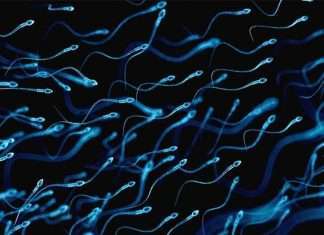 Цікаві факти про жіночої інтимної зони (10 фото)