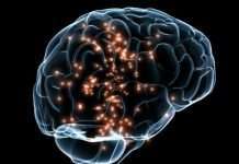 Цікаві факти про секс (25 фото)