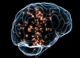 Цікаві факти про секс (25 фото)