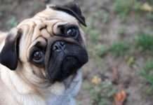 Цікаві факти про Москві, які не знали навіть самі москвичі (14 фактів)