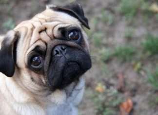 Цікаві факти про Москві, які не знали навіть самі москвичі (14 фактів)