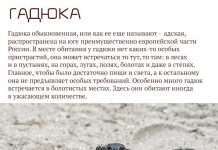 Найнебезпечніші тварини Росії (17 фото)